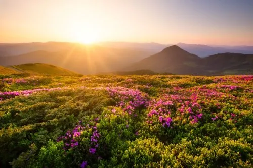Nature landscapes and sunrise
