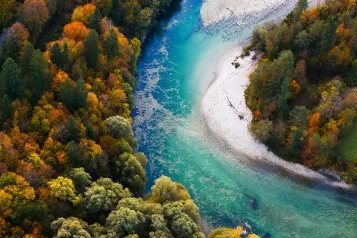 Trees and rivers landscape