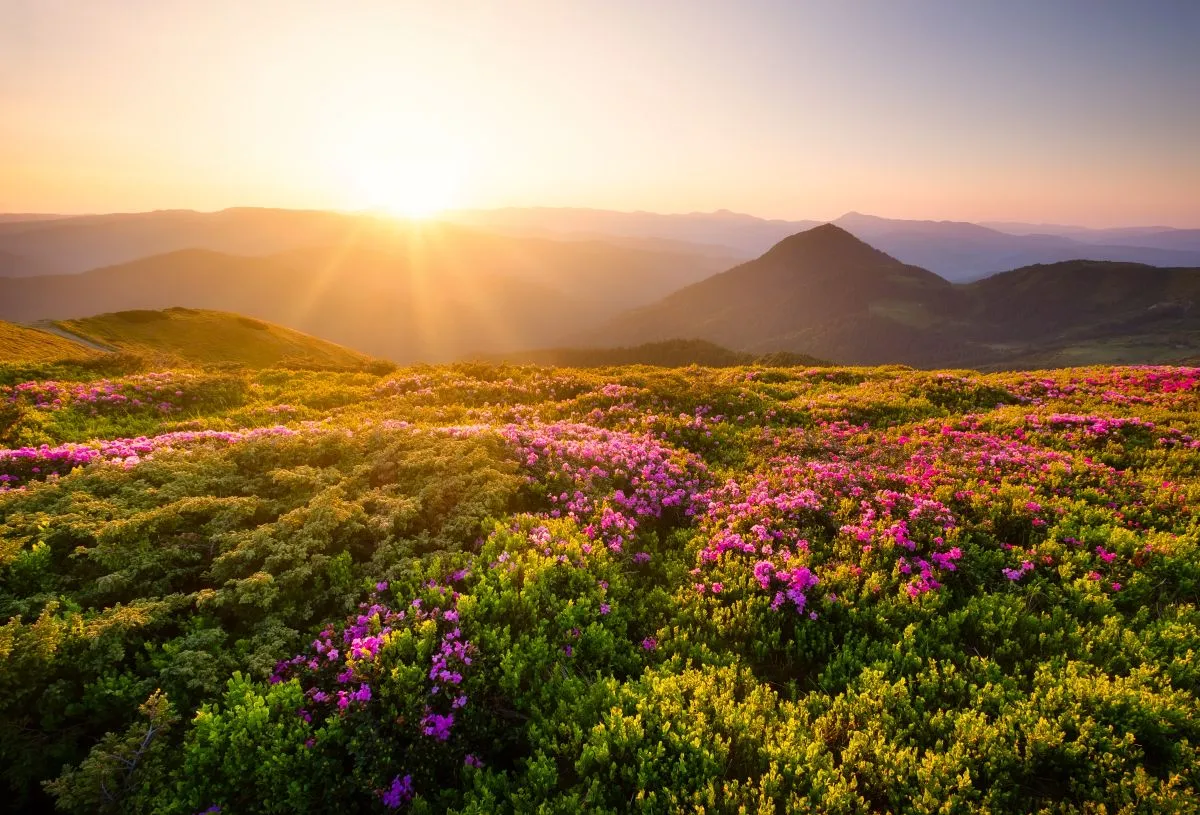Nature landscapes and sunrise