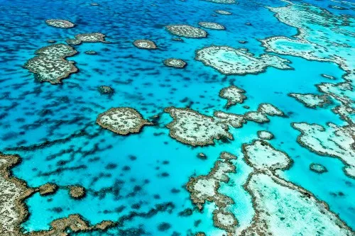 Great Barrier Reef, Australia